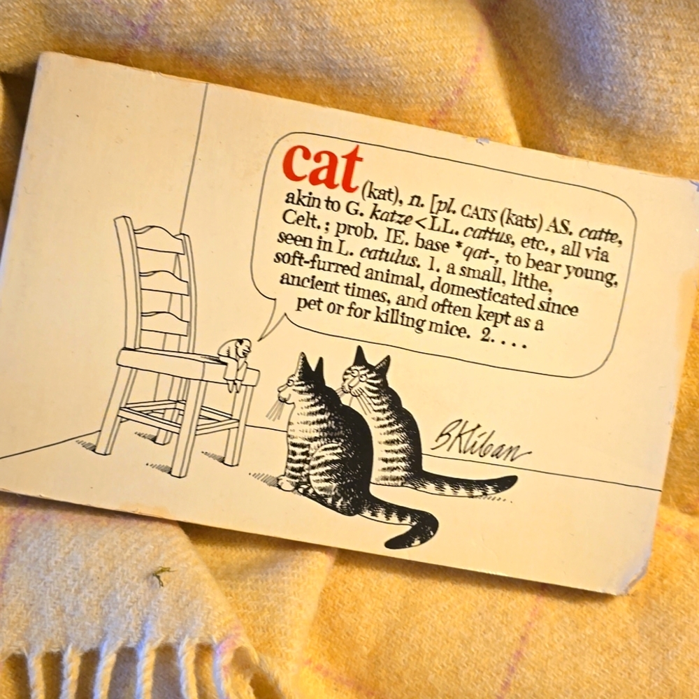 Vintage CAT softcover book by B KLIBAN 1st edition 1975